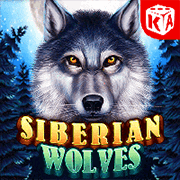Sói Siberian thumbnail